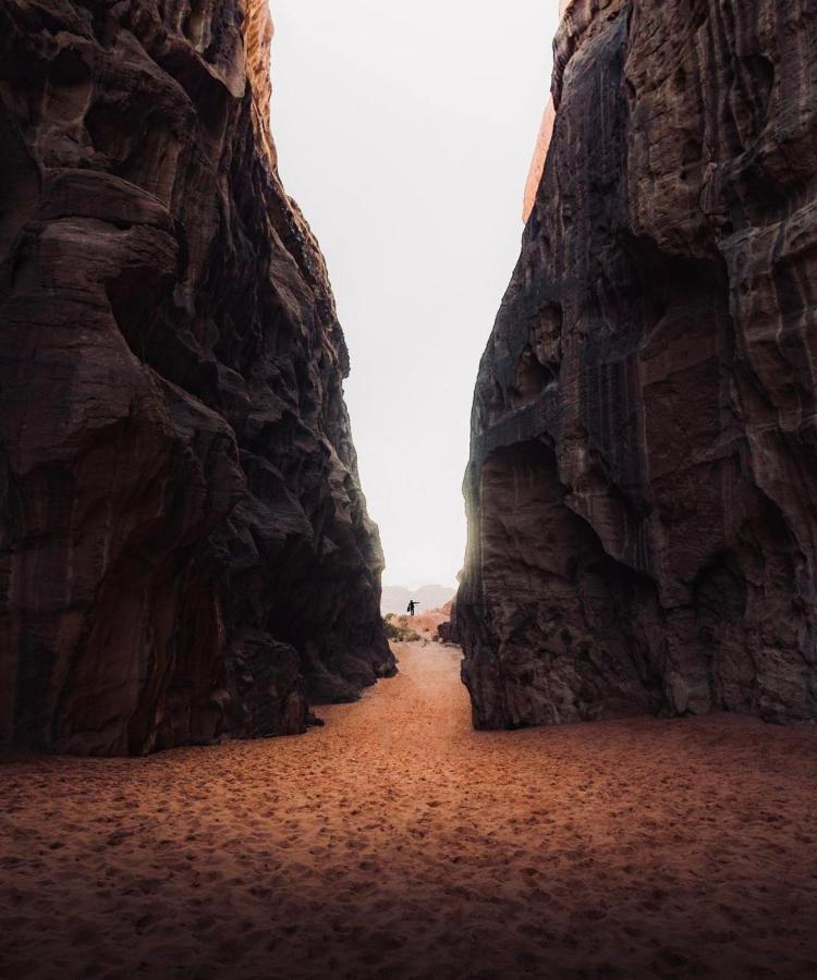 Wadirum Zeid Camp&Tours Ουάντι Ραμ Εξωτερικό φωτογραφία