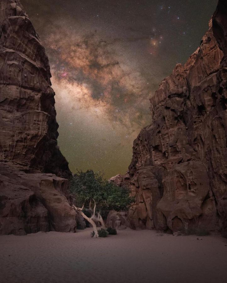 Wadirum Zeid Camp&Tours Ουάντι Ραμ Εξωτερικό φωτογραφία