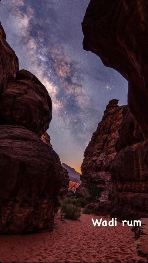 Wadirum Zeid Camp&Tours Ουάντι Ραμ Εξωτερικό φωτογραφία