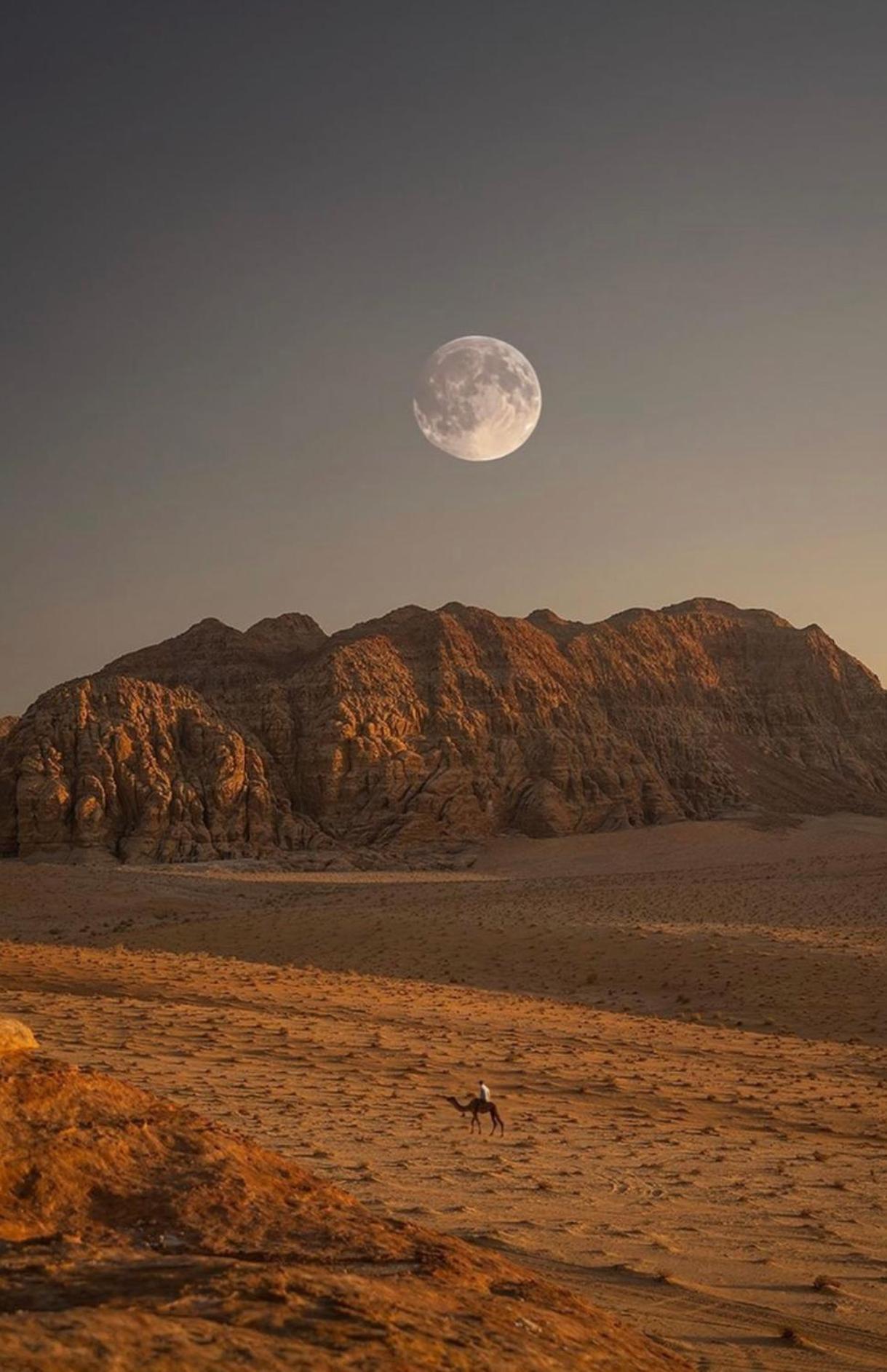 Wadirum Zeid Camp&Tours Ουάντι Ραμ Εξωτερικό φωτογραφία
